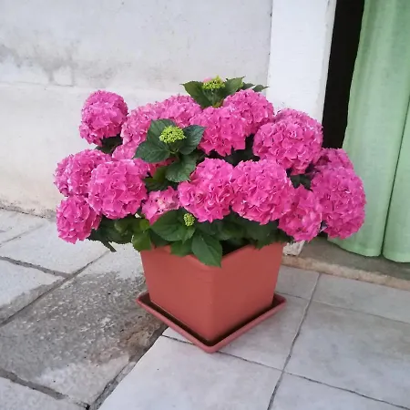 Sanja Apartman