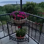 Sanja *